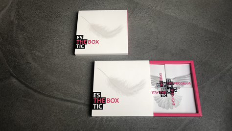 Esthetic Days The Box